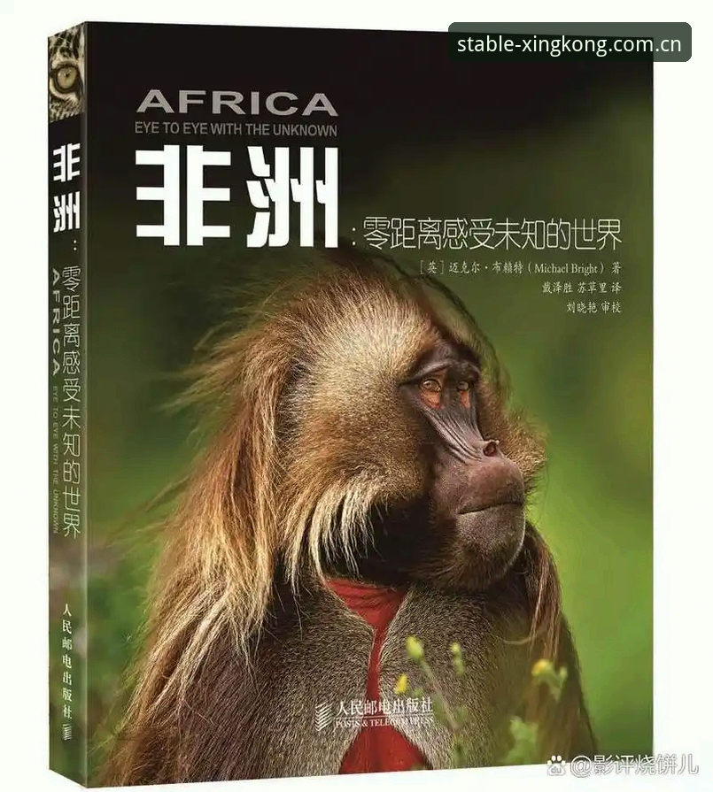 索斯盖特转型幕后，BBC纪录片深度解析当代男性困境